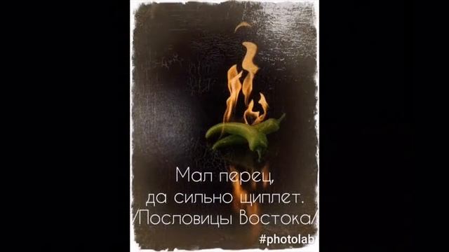 ПОСЛОВИЦЫ ВОСТОКА. ПРИЯТНАЯ МУЗЫКА. смотреть онлайн