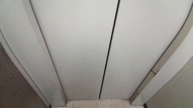 Музыкальные лифты ЩЛЗ 2017 года V=1,0 M/c