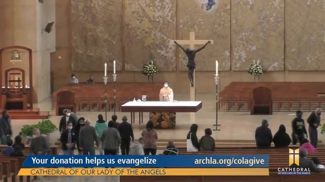 Memorial of Saints Timothy and Titus, Bishops смотреть онлайн