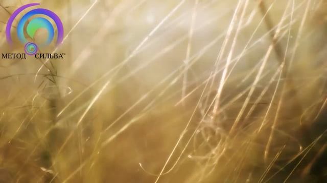 Гармония души и тела. Медитация «Разговор с телом» от Татьяны Латанской смотреть онлайн