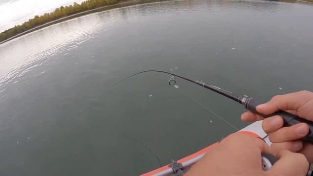 Крупные щуки на фартовый спиннинг Ronin Rush - Sonic смотреть онлайн