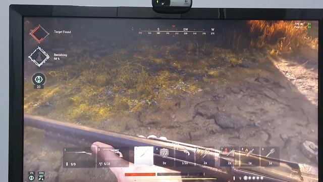 Hunt showdown bug смотреть онлайн