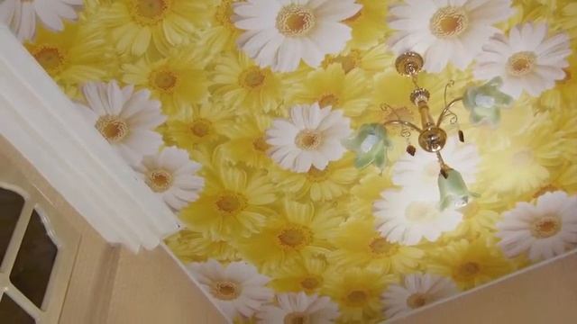 Заказывать натяжной потолок смотреть онлайн