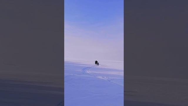 Лучший зимний транспорт... Вот они, куропатки! Музыка С. Чекалина.