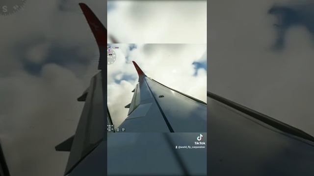 Посадка в Аэропорту Santos Dumont в Рио де Жанейро из (Видео из Тик Тока) смотреть онлайн