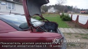 Как выбрать амортизаторы крышки багажника