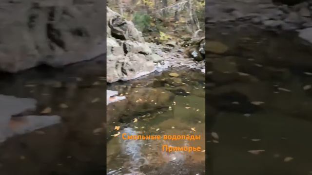 #приморье #приморскийкрай #походы #reels #красивыеместа смотреть онлайн