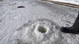 Ловля форели зимой со льда. Необычные приманки. Фильм 3