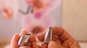 ЦВЕТЫ ИЗ ЗАВАРНОЙ МЕРЕНГИ (БЕЗЕ РЕЦЕПТ)