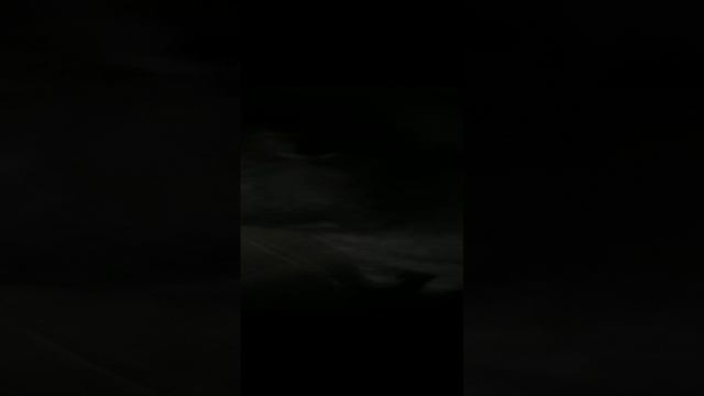 звуки дыхания кота смотреть онлайн