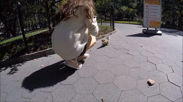 NEW YORK & MIAMI: 4 НАСЫЩЕННЫХ ДНЯ И 10 В ОКЕАНЕ смотреть онлайн