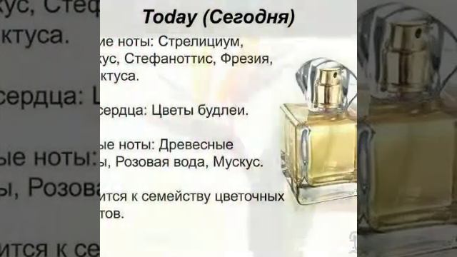 Аромат Today смотреть онлайн