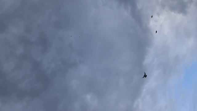 Подкидка в Брусовом. смотреть онлайн