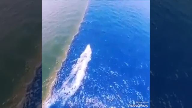 Чудо света! Соленая и пресная вода НЕ СМЕШИВАЮТСЯ!!! смотреть онлайн