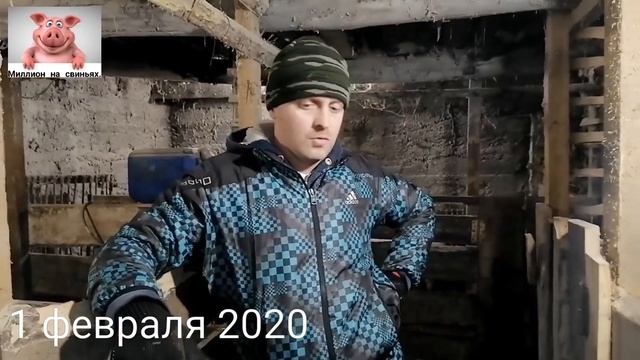 Знакомство с породой ДЮРОК. смотреть онлайн