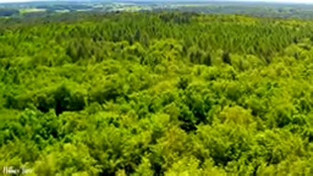 Deep Focus Music To Improve Concentration - Calming Music, Relaxation, Meditation, Positive Energy смотреть онлайн