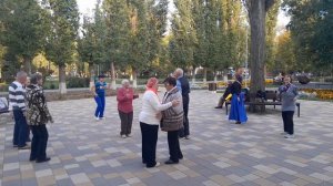 Расцвела черёмуха и кругом голова