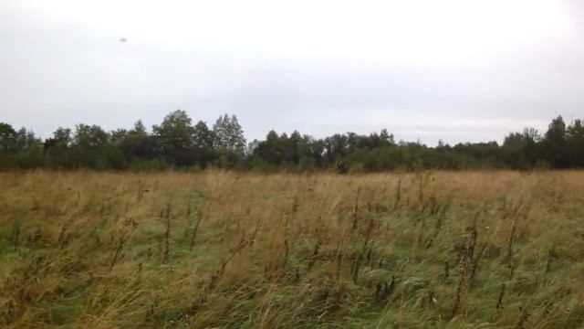 Земля в Великих Луках. Дервня Колюбаки. смотреть онлайн