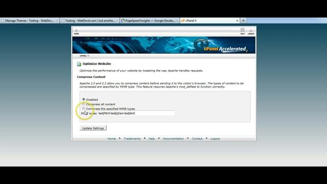 WordPress Page Speed Optimisation on cPanel смотреть онлайн