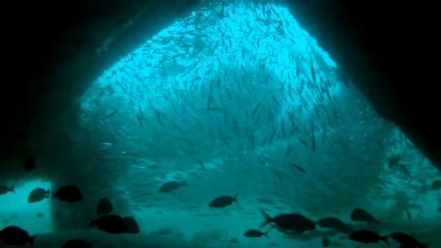 Shipwreck of the "Spar" & "Proteus" смотреть онлайн
