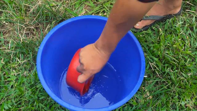 വെറും ഒരു രുപ മുടക്കിയാൽ തെങ്ങു ഇത് പോലെ കായ്ക്കും | How To Grow & Fertilizer Coconut Tree