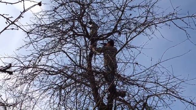 Крепление скворечников со страховкой смотреть онлайн