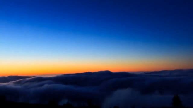 «Папа» автор Бычков Виталий смотреть онлайн