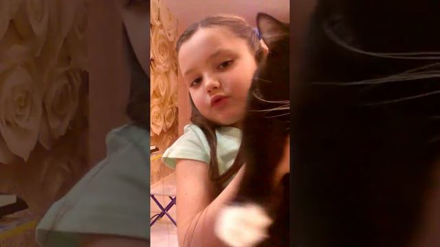 к чему надо подготовиться к перезду кота в новый домик смотреть онлайн