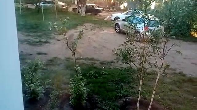 ЯБЛОНИ ЦВЕТУТ . смотреть онлайн