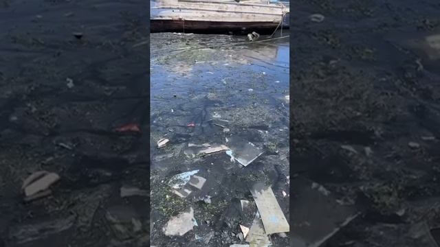 Ужасно грязный Египет. Вот тебе и курорт в Хургаде. Вонь и грязное Красное море #египет смотреть онлайн