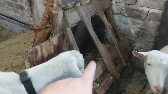 Можно было и не чистить. смотреть онлайн