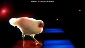 Танец курицы ????