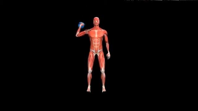 Жим гири одной рукой над головой в сторону Kettlebell One Arm Para Press смотреть онлайн