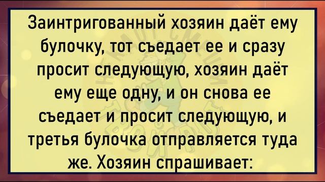 ?Чернокожий И Белый Мужчины Заходят В Булочную...Уматный Анекдот Для Хорошего Настроения! смотреть онлайн