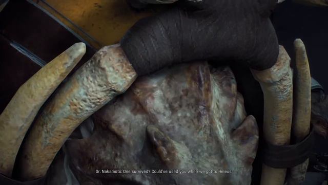 Mass Effect™: krogan face glitch смотреть онлайн