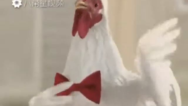 Бешеные петухи