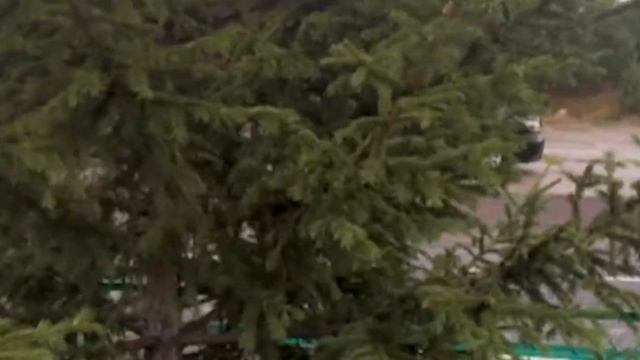 Мазда 6 Черная Пантера во всей красе смотреть онлайн