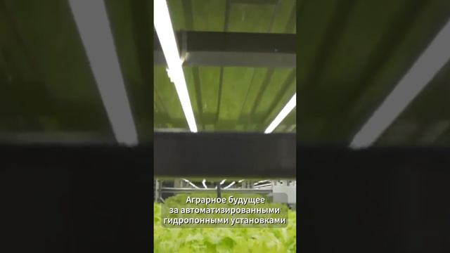 Автоматизации гидропонной системы EZplant, с возможностью управлением через интернет. Презентация. смотреть онлайн
