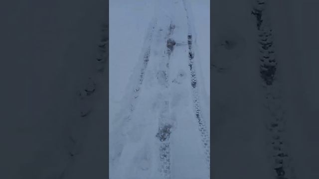 очистим крышах с трактором снегоуборочный трактор смотреть онлайн
