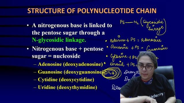 Molecular Basis of Inheritance | Lecture - 3 | Class 12 | Biology | NEET Academy | Meetu Bhawnani смотреть онлайн