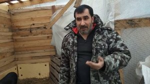 #Свиноводство #Канадскаятехнология #Комбикорм