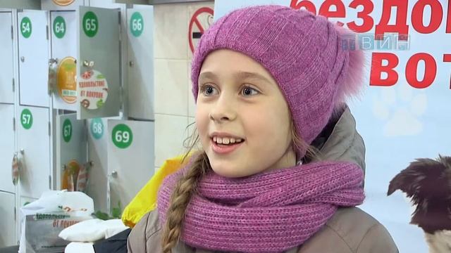 Сбор корма для бездомных животных, находящихся на передержке у организации "Любимые лапки". смотреть онлайн