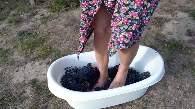 Mitică și Afacerea cu Struguri #3Chestii смотреть онлайн