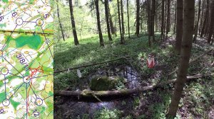 Спортивное ориентирование (headcam orienteering) - Сборник ошибок! (mistakes collection) - Смоленск!