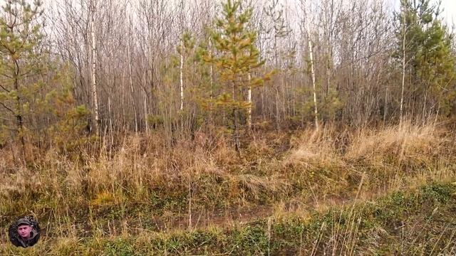 ДРОБЬ 5ка, БЬЁТ НАВЫЛЕТ! ВЫБРАЛСЯ НА ОХОТУ! ДОБЫЛ ДВУХ ЗАЙЦЕВ! #5. Охота на ЗАЙЦА! Сезон 2020-2021г смотреть онлайн