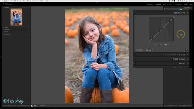 The Tone Curve panel in Lightroom Classic смотреть онлайн