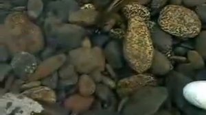 Рыбалка на горной реке Нижняя Терсь. 07.2014