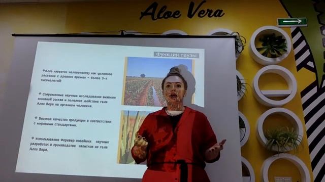 Удаленный бизнес "Форвер Ливинг". Елена Бойко смотреть онлайн