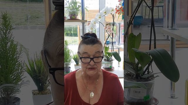 Ефименкова Татьяна Ивановна стихотворение-"Люди разные ". смотреть онлайн