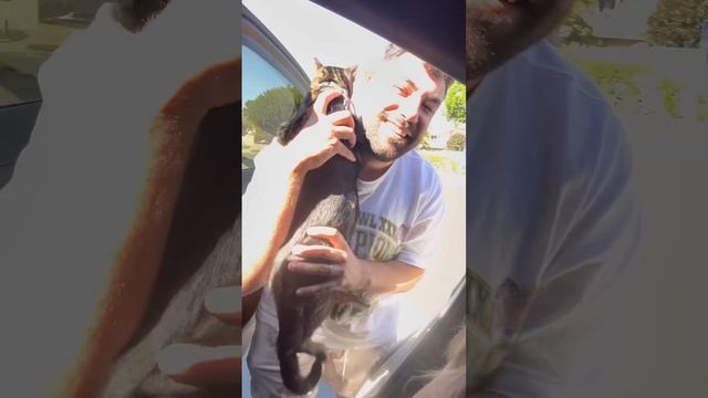 WE TOOK OUR CAT TO THE VET ?❤️ смотреть онлайн